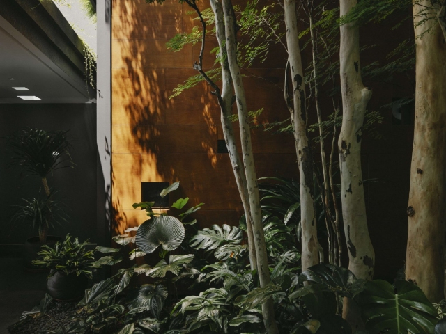 Quiet Luxury in The Art of Designing Your Dream Home